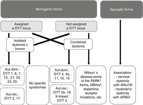 torsion dystonia gene testing|dystonia genetic testing panel.